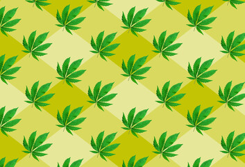 Fototapeta na wymiar Pattern of young cannabis leaves arranged on the yellow background. Top view.