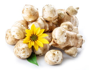 Jerusalem artichoke roots with leaves and flower of Jerusalem artichoke isolated on white background.