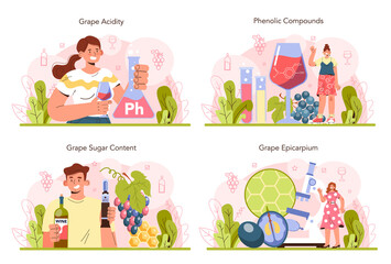 Wine production concept set. Grape wine in a bottle or glass. Alcohol drink