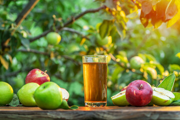 Fresh apple juice and organic apples on wooden table.  Summer orchard in the evening sun rays at the background.
