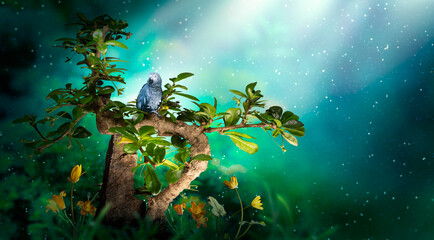 Fantasy Bonsai carmona Tree with sitting Gray Parrot bird in magical elf Forest, blooming golden...