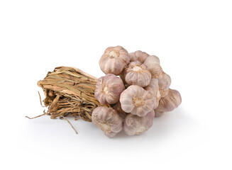 Dried garlic on white background.