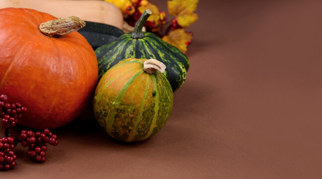 Different types of pumpkins and squash autumn still life frame stock images. Seasonal autumn fruits and vegetables isolated on a brown background with copy space for text. Beautiful autumn decoration