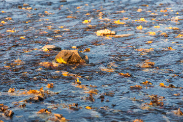 Autumn small river with yellow leaves bubbling among the stones