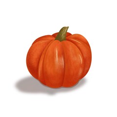 Orange pumpkin for Halloween. Illustration of autumn vegetables on a white background.