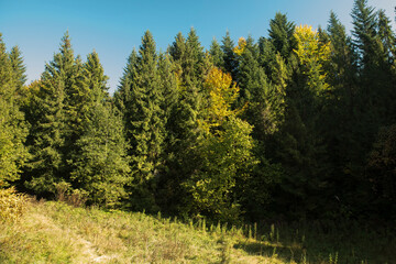 Fototapeta na wymiar jesień w górach