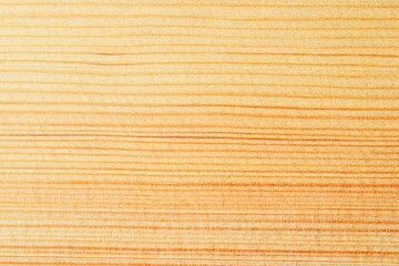 Light natural universal background, wood texture