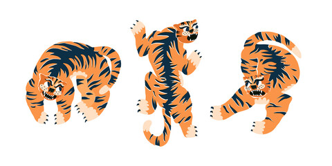 3 stylized Chinese tigers set. Oriental style tigers falls on, defenses, rebuts. Hand-drawn vector illustration.