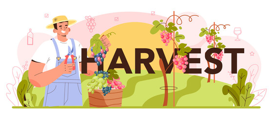 Harvest typographic header. Wine production. Grape selection, cultivation