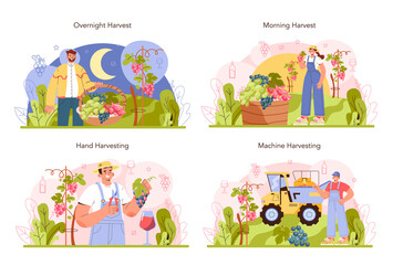 Wine production concept set. Grape selection, cultivation and harvesting
