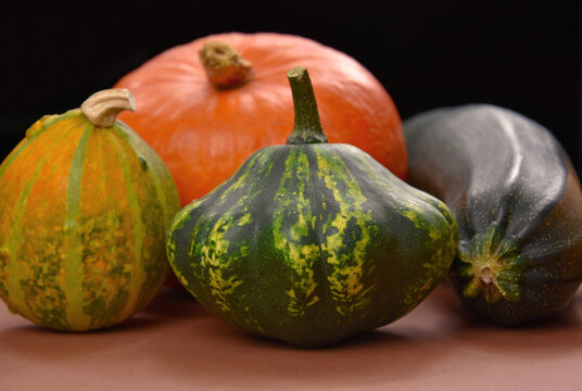 Different types of pumpkins and squash autumn still life stock images. Seasonal autumn fruits and vegetables close-up stock photo. Beautiful autumn decoration images