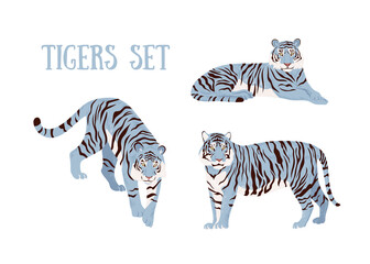 Fototapeta na wymiar Set of blue tigers. Stylish vector isolated illustration. Chinese tiger.