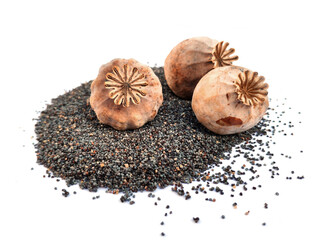 Poppy seeds and heads