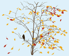 Hand drawing of deciduous tree with falling autumn leaves and bird sitting on branch