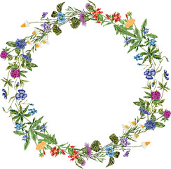 Vector image of flowering summer wreath from various drawn wildflowers