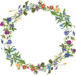 Fototapeta premium Vector image of flowering summer wreath from various drawn wildflowers