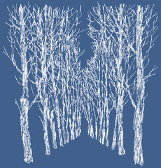 Vector doodle drawing of abstract trees silhouettes in winter park