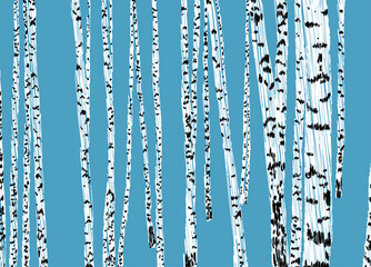 Vector scribble drawing of birch trees trunks in abstract birchgrove