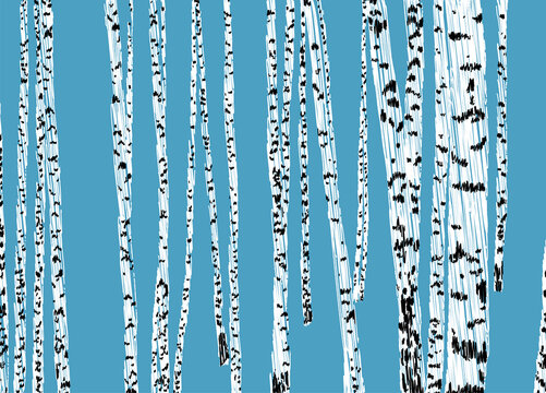 Vector scribble drawing of birch trees trunks in abstract birchgrove © Amili