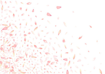 Transparent Flower Petal Vector White Background.