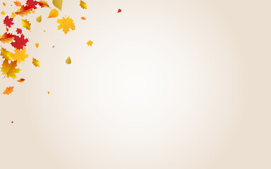 Golden Plant Vector Transparent Background. Shape