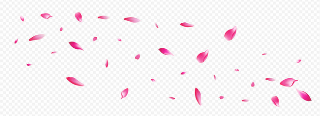 Light Bloom Vector Panoramic Transparent