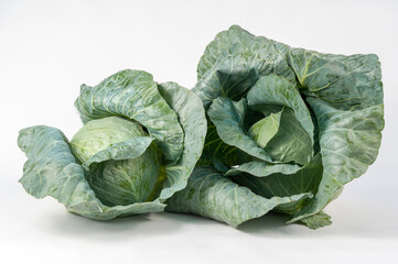 Obraz premium white cabbage ripe on a white background and in the beds