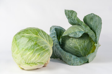 white cabbage ripe on a white background and in the beds