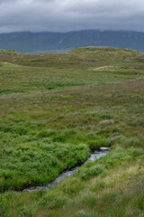 Fototapeta na wymiar Ireland peet and heather fields. Mountains. Connemara. Small brook and grass.