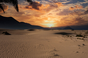 Beautiful sand patterns with  low sun in the natural park in Corralejo on the enchanting island of Fuerteventura in the Canary Islands Spain