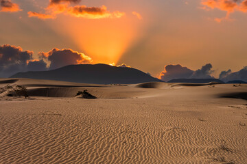 Beautiful sand patterns with  low sun in the natural park in Corralejo on the enchanting island of Fuerteventura in the Canary Islands Spain