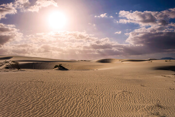 Beautiful sand patterns with  low sun in the natural park in Corralejo on the enchanting island of Fuerteventura in the Canary Islands Spain