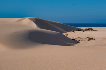Beautiful sand patterns with  low sun in the natural park in Corralejo on the enchanting island of Fuerteventura in the Canary Islands Spain