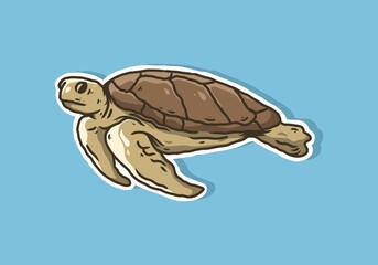 Brown illustration color of turtle on blue background