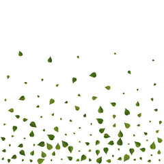 Grassy Foliage Organic Vector White Background
