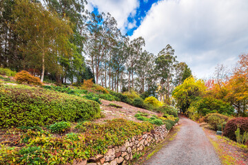 Foot path across colorful autumn park in Mount Lofty, Adelaide Hills,  South Australia