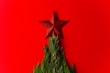 pine tree branches and red christmas star. Christmas, holiday concept on red background.