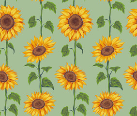 Fototapeta na wymiar sunflowers pattern green