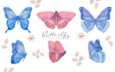 Obraz na płótnie Canvas Watercolor colorful natural set with butterfly. Blue and Pink butterflies isolated illustration on white background
