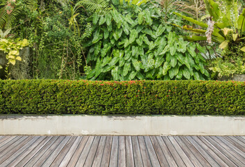 Wood floor in a green plant garden decorative - 460827523