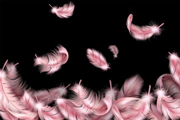 Pink feathers. Flying fluffy swan, falling flamingo 3d wings feather, soft bird plumage. Style background on black, softness backdrop, flyer or poster template, vector realistic illustration