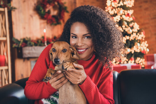 Photo of young attractive black woman happy positive smile pet owner best friend dog pet atmosphere indoors