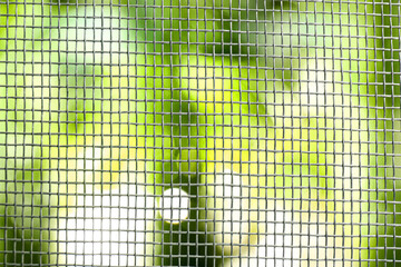 Insect screen for window against blurred background, closeup