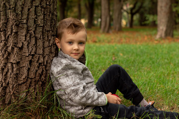 cute preschooler boy sitting by a tree in the park