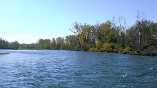 Fast, mountainous river in autumn