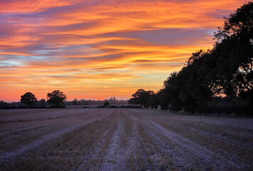 fiery sunset over a stubble field
