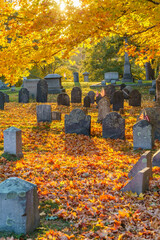 Old New England church cemetery in autumn with yellow leaves