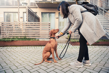 Side view of woman with backpack adjusting pet leash of dog on footpath
