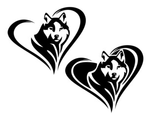 husky sled dog head portrait inside heart shape - cute pet looking forward black and white vector outline