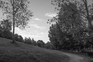path between trees and clouds